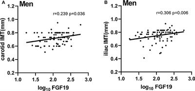 Fibroblast Growth Factor 19 Levels Predict Subclinical Atherosclerosis in Men With Type 2 Diabetes